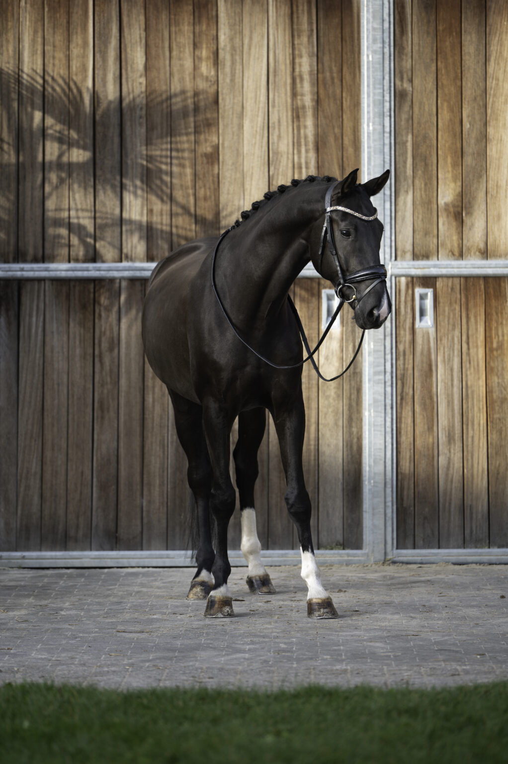 Sacramento v/h Bloemenhof