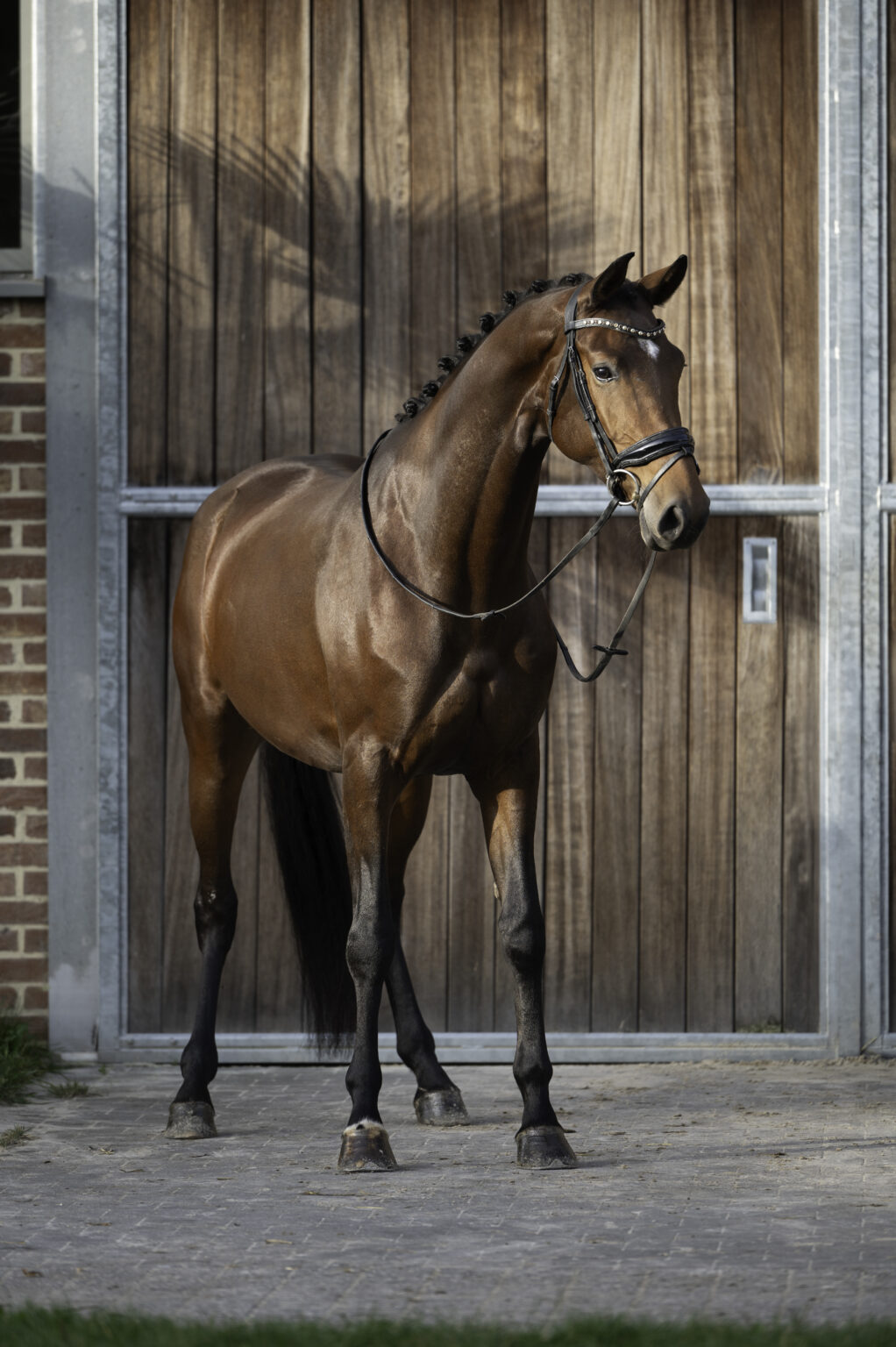 Wonder Woman du jade