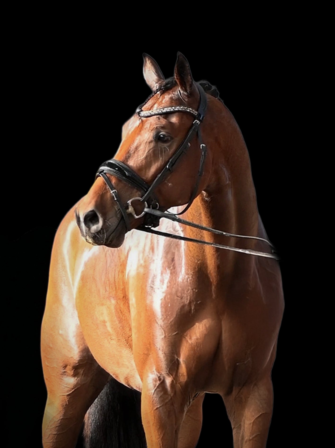 Beau de jour du jade