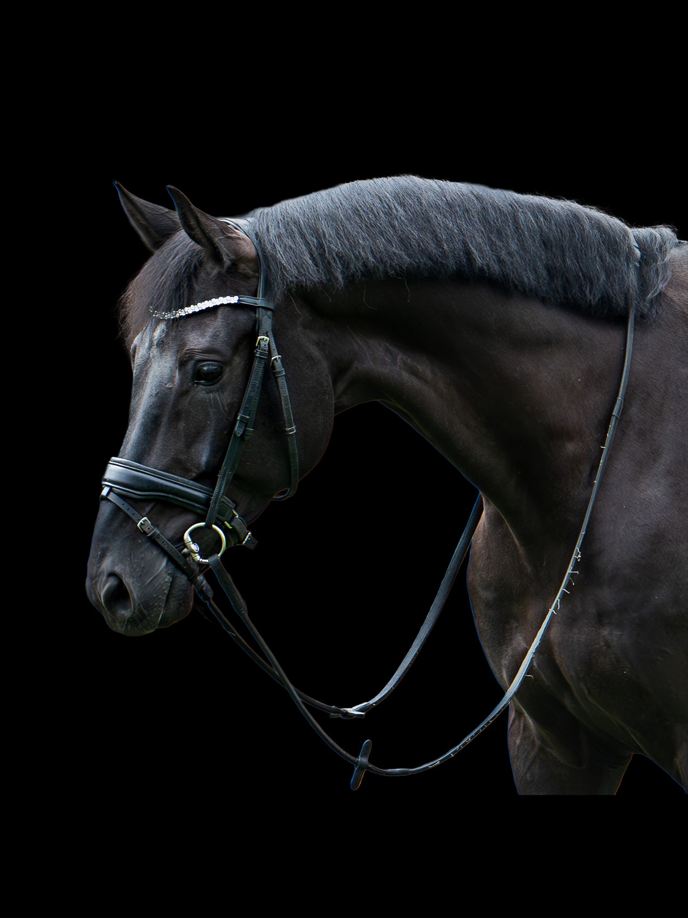 Reliv v't Amarylishof