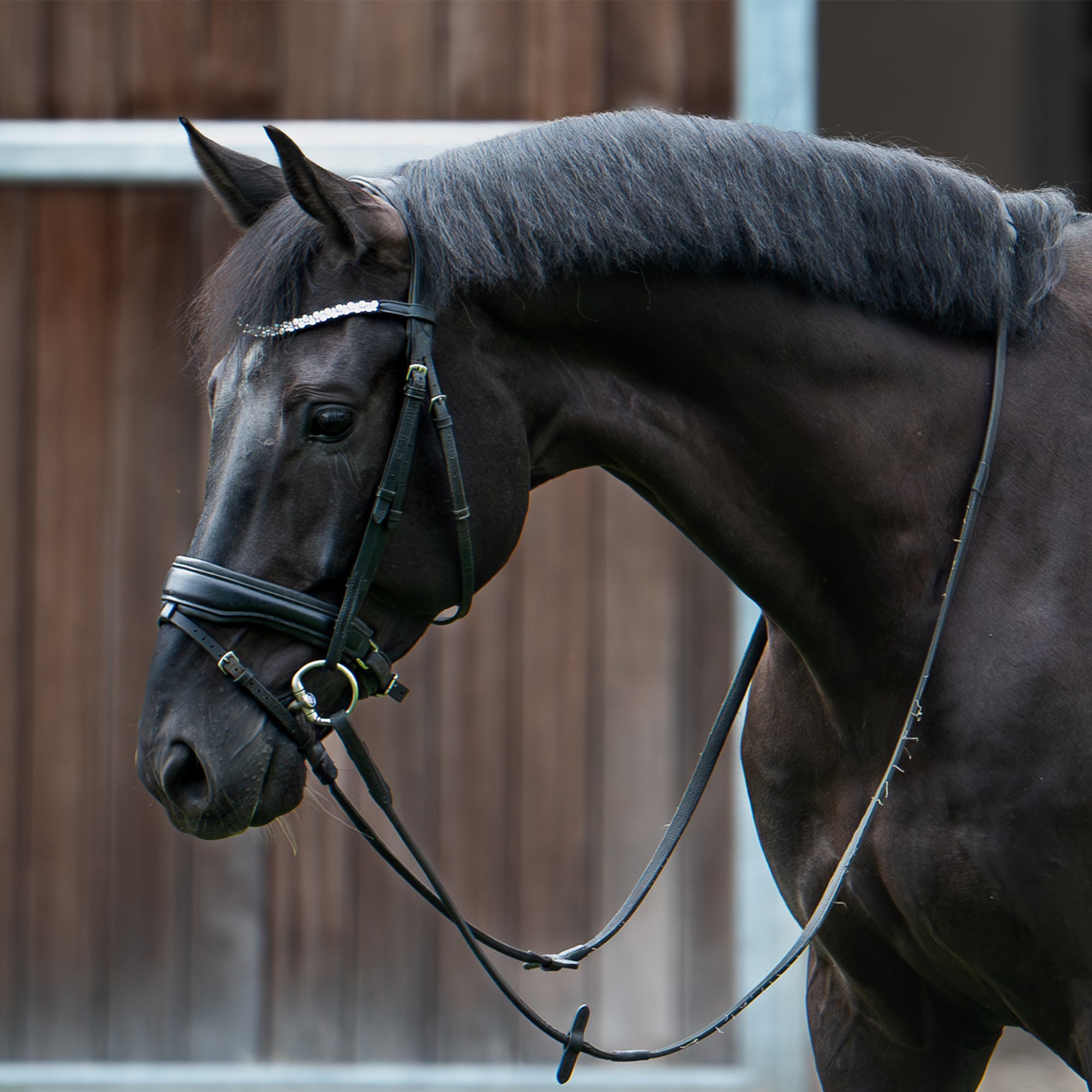 Reliv v't Amarylishof