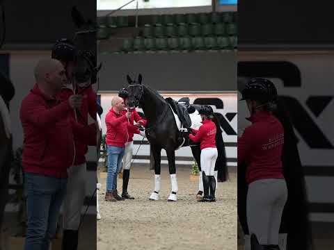 Load video: Avici ECH