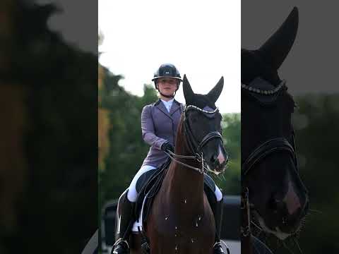 Load video: Sacramento v/h Bloemenhof