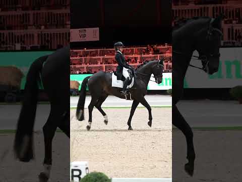 Load video: Dear Friend II