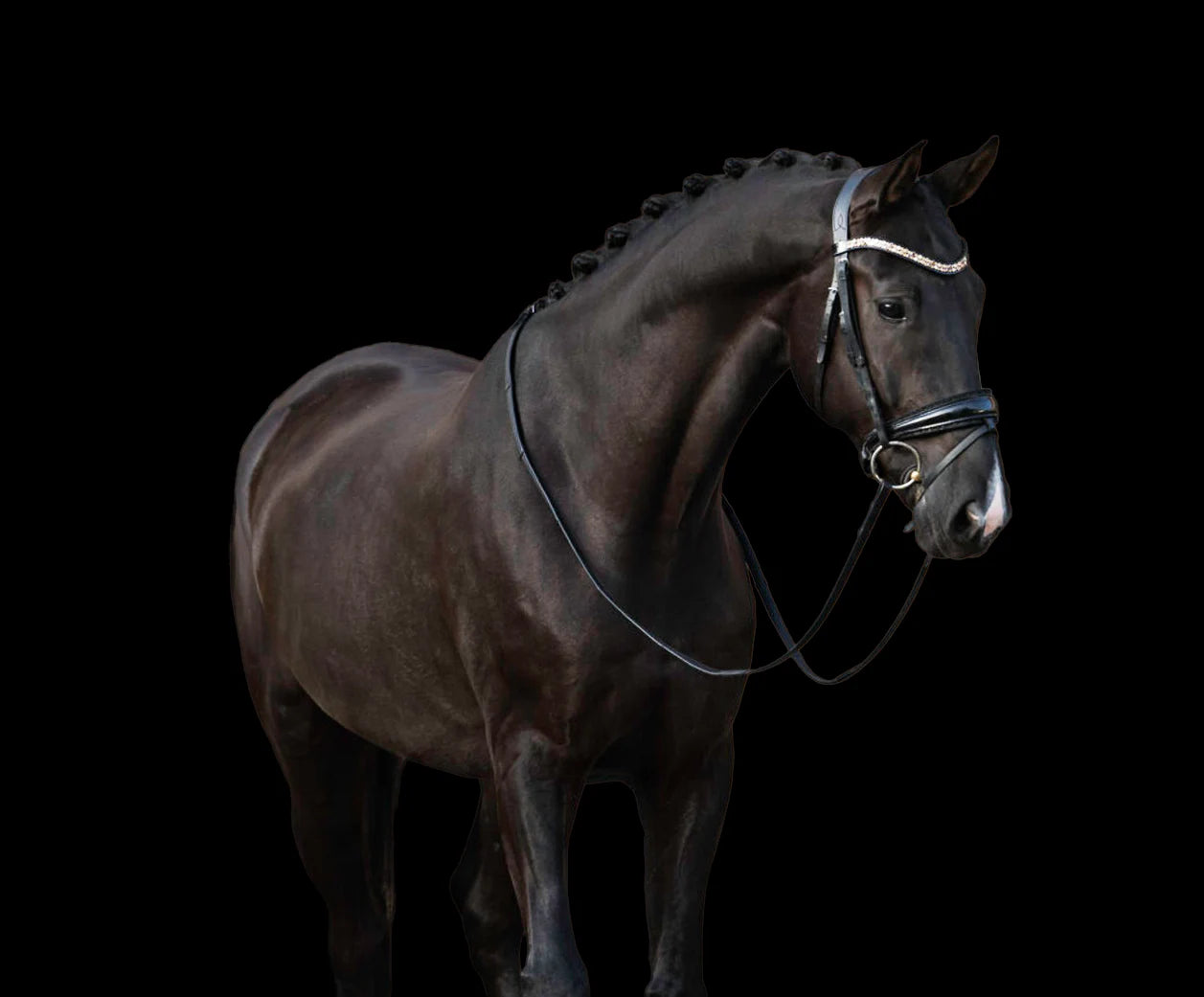 Sacramento vh Bloemenhof