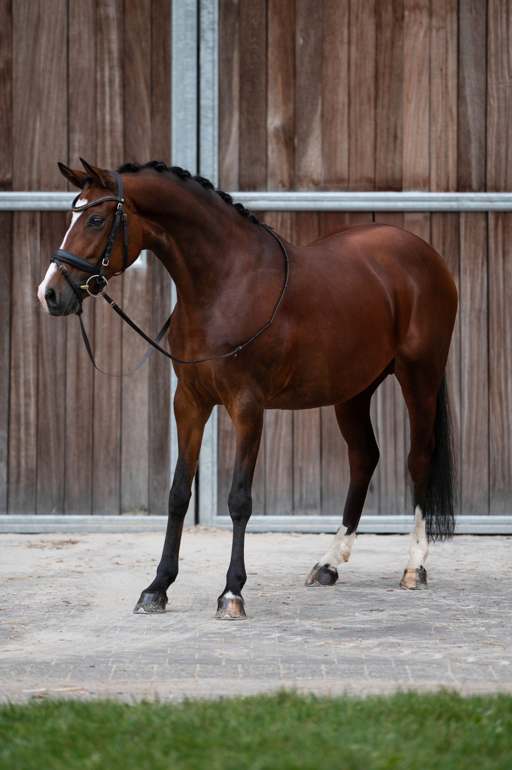 Tattoo v/h Bloemenhof