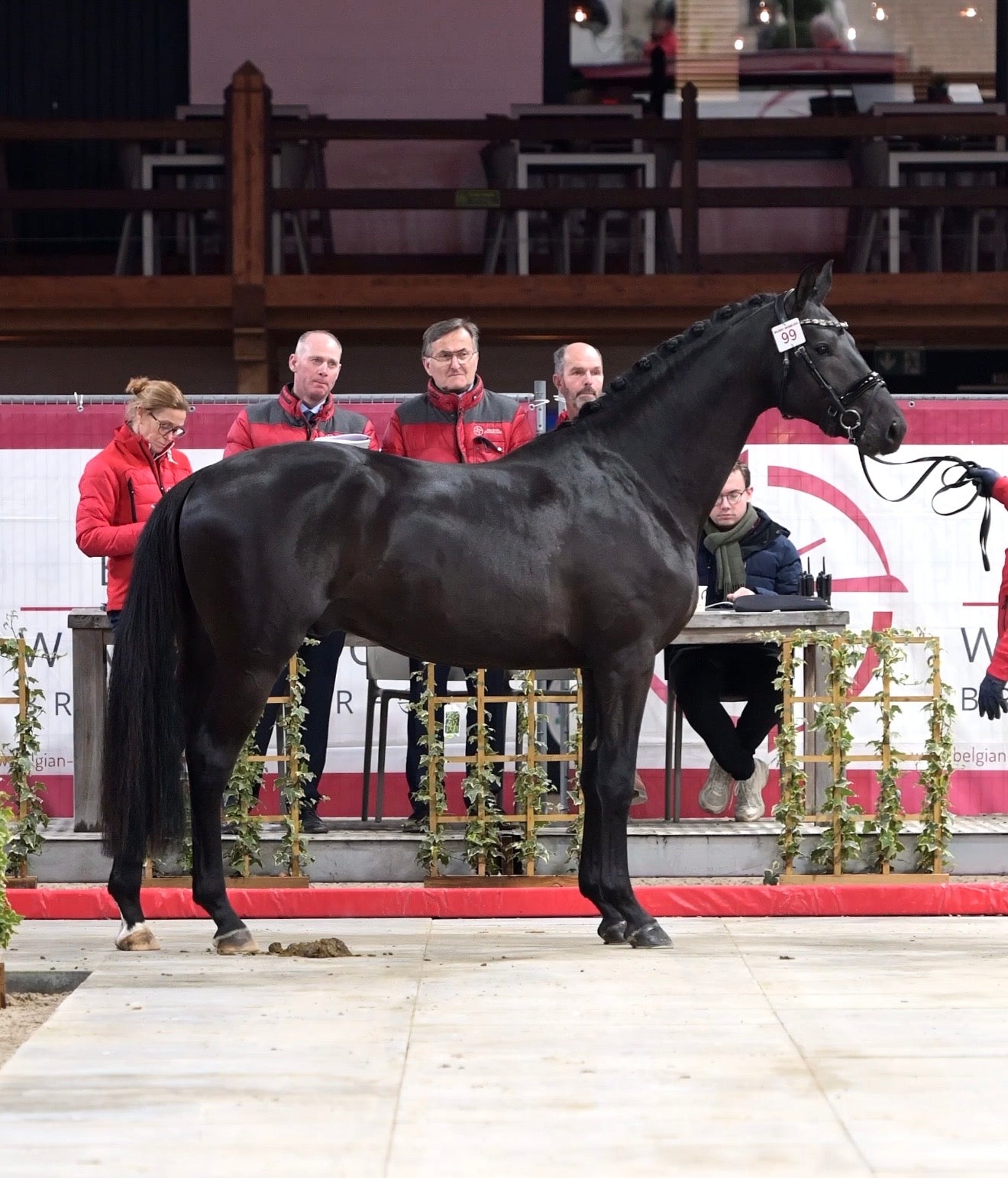 Avici ECH – Qualified for the Third Phase After an Impressive Second Round