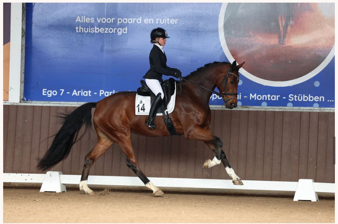 A Promising Weekend at the Corsendonk Dressage Cup