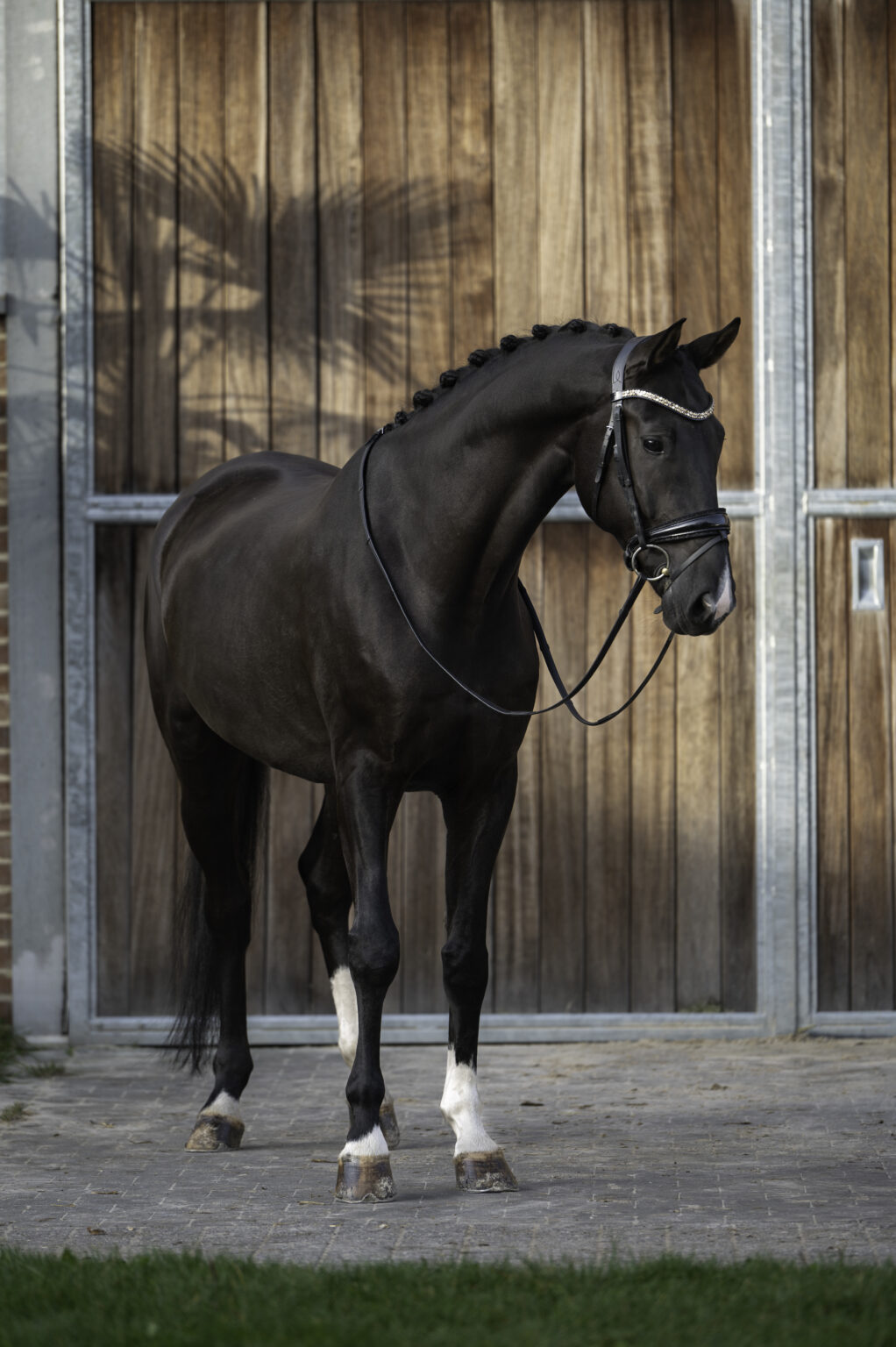 Sacramento v/h Bloemenhof