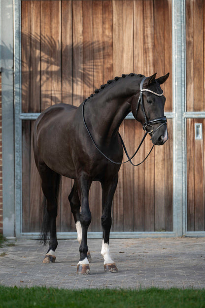 Sacramento v/h Bloemenhof