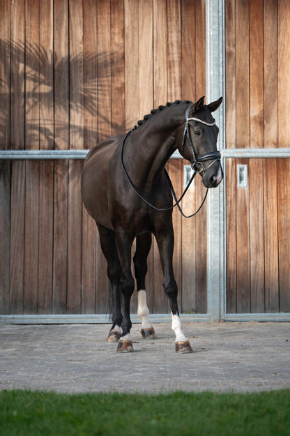 Sacramento v/h Bloemenhof