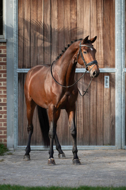 Wonder Woman du jade