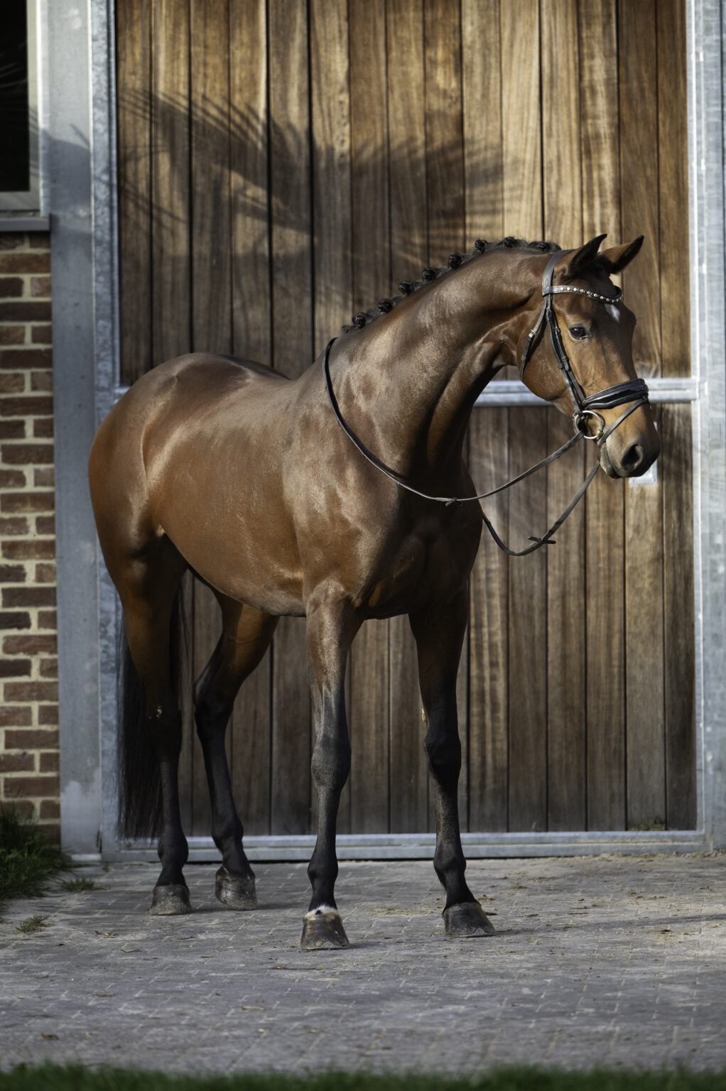 Wonder Woman du jade