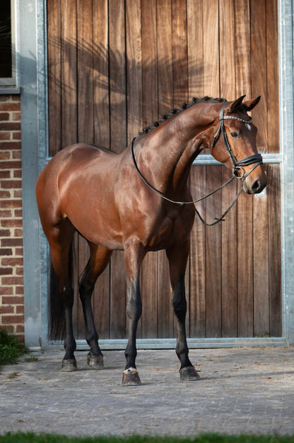 Wonder Woman du jade