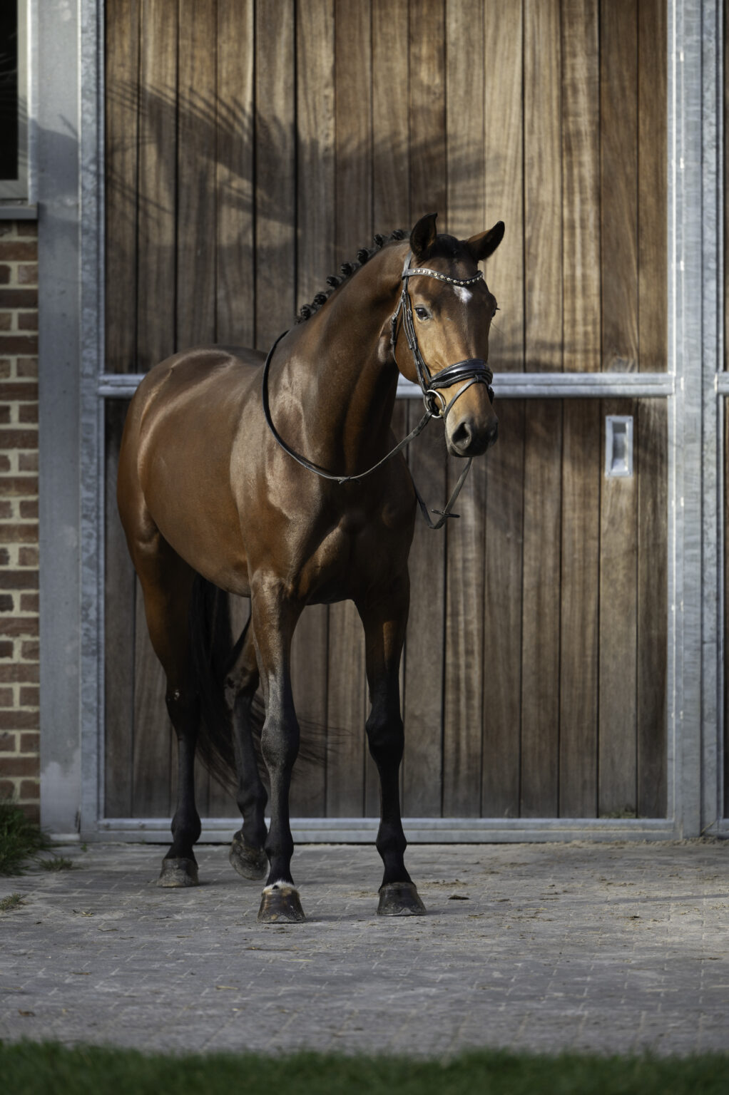 Wonder Woman du jade