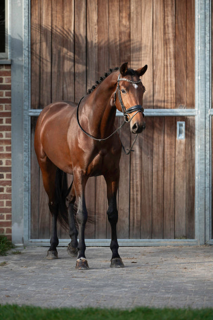 Wonder Woman du jade