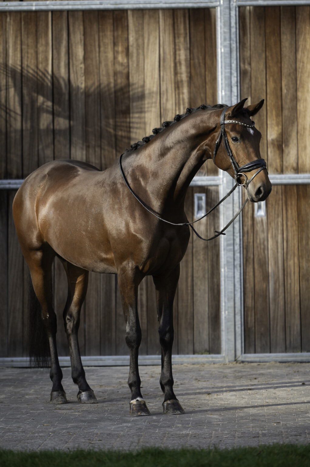 Wonder Woman du jade