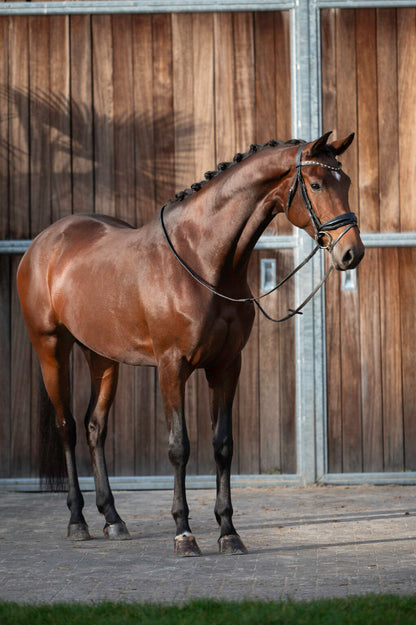 Wonder Woman du jade