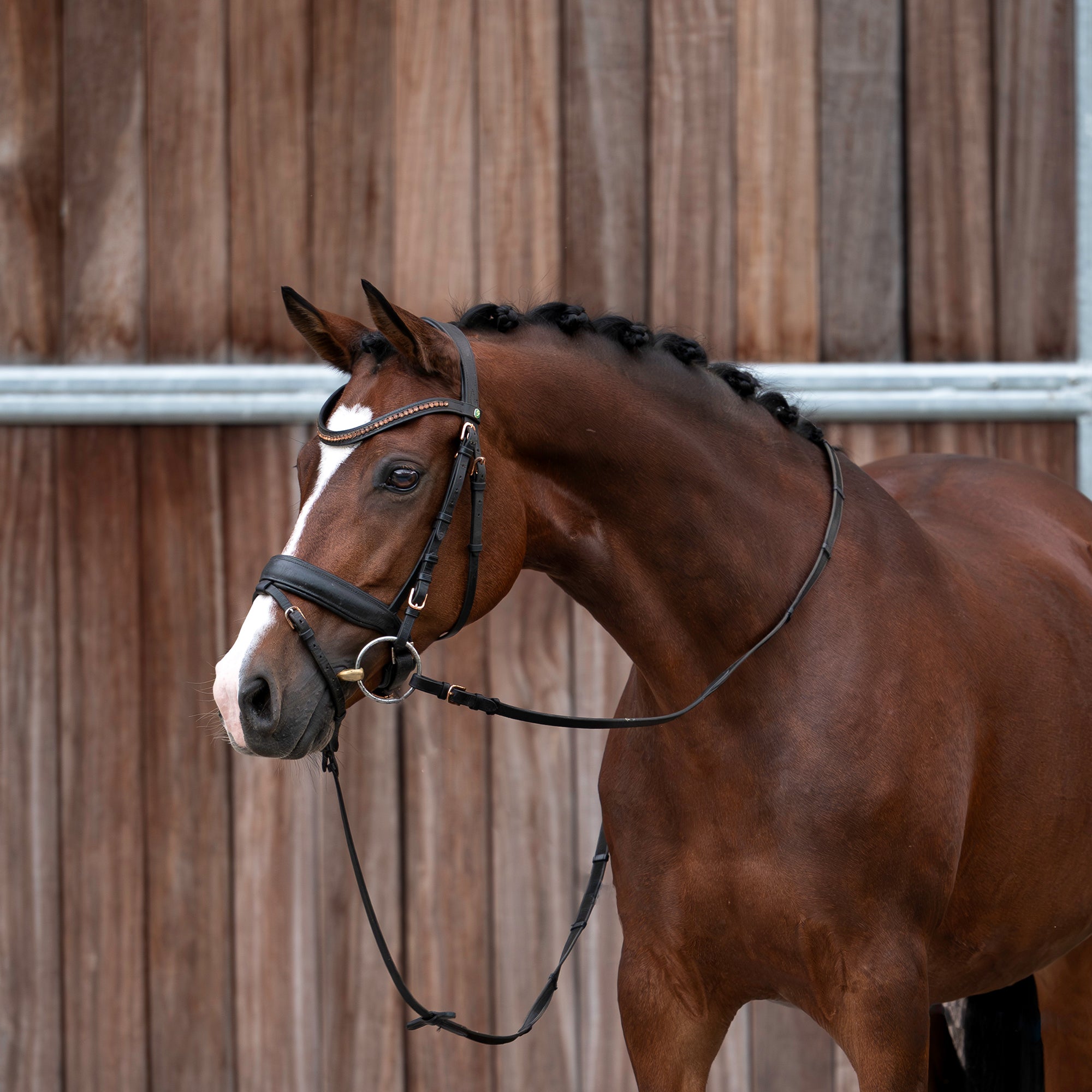 Tattoo v/h Bloemenhof