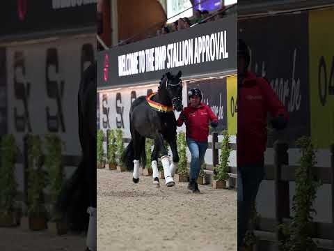 Load video: Avici ECH