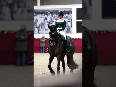 Load video: Sacramento v/h Bloemenhof