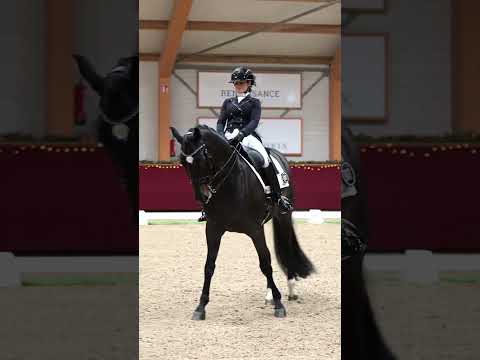 Load video: Dear Friend II