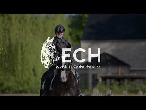 Load video: Remember Me