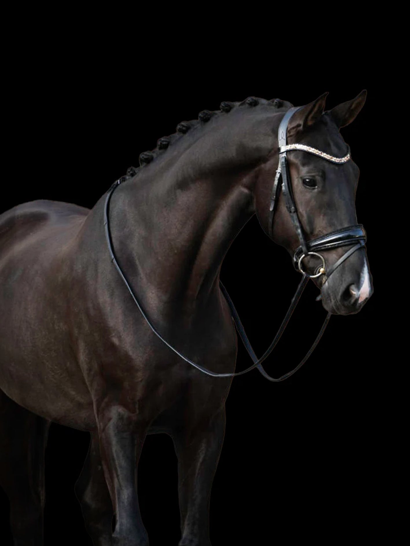 Sacramento vh Bloemenhof