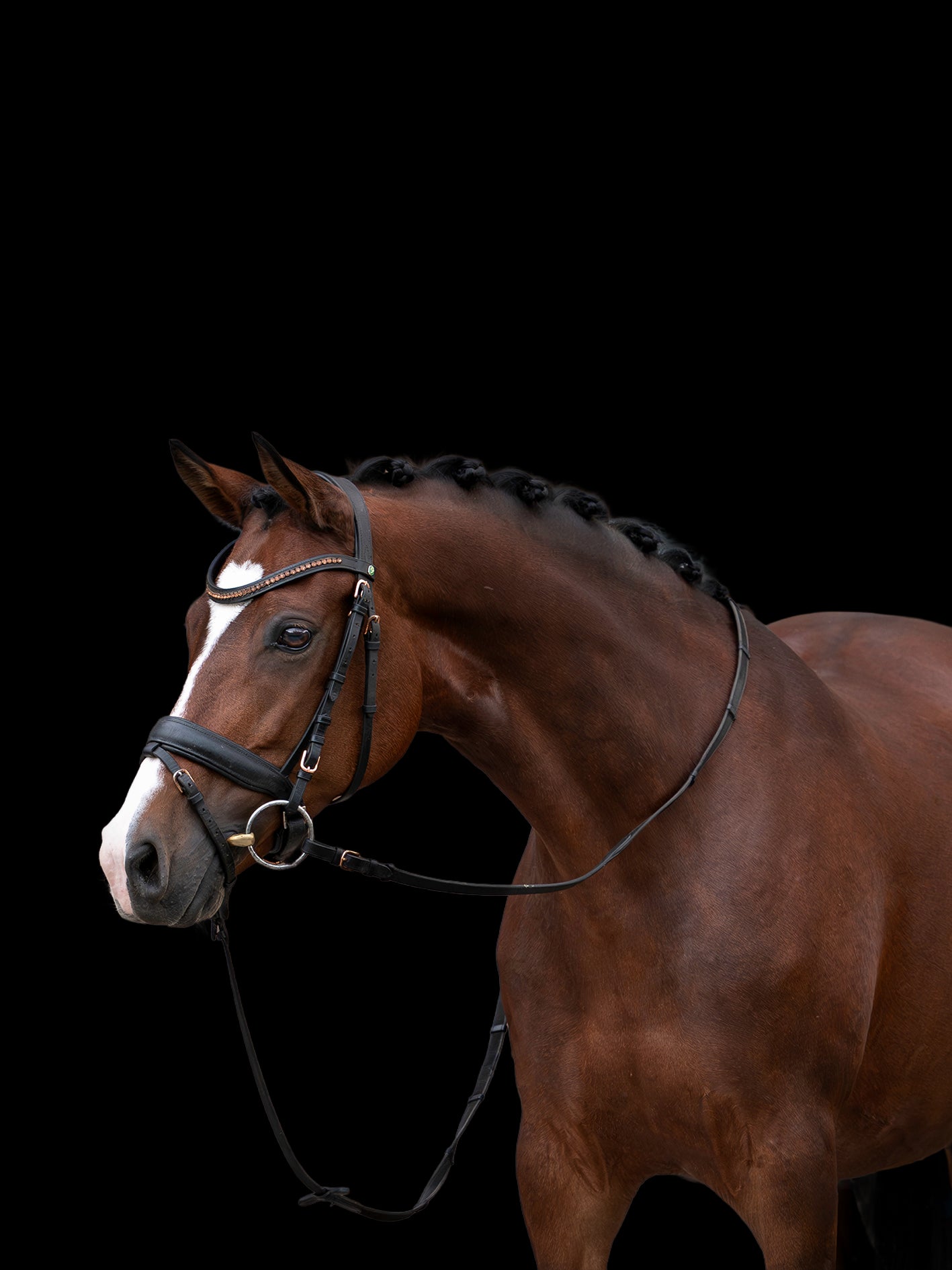 Tattoo v/h Bloemenhof