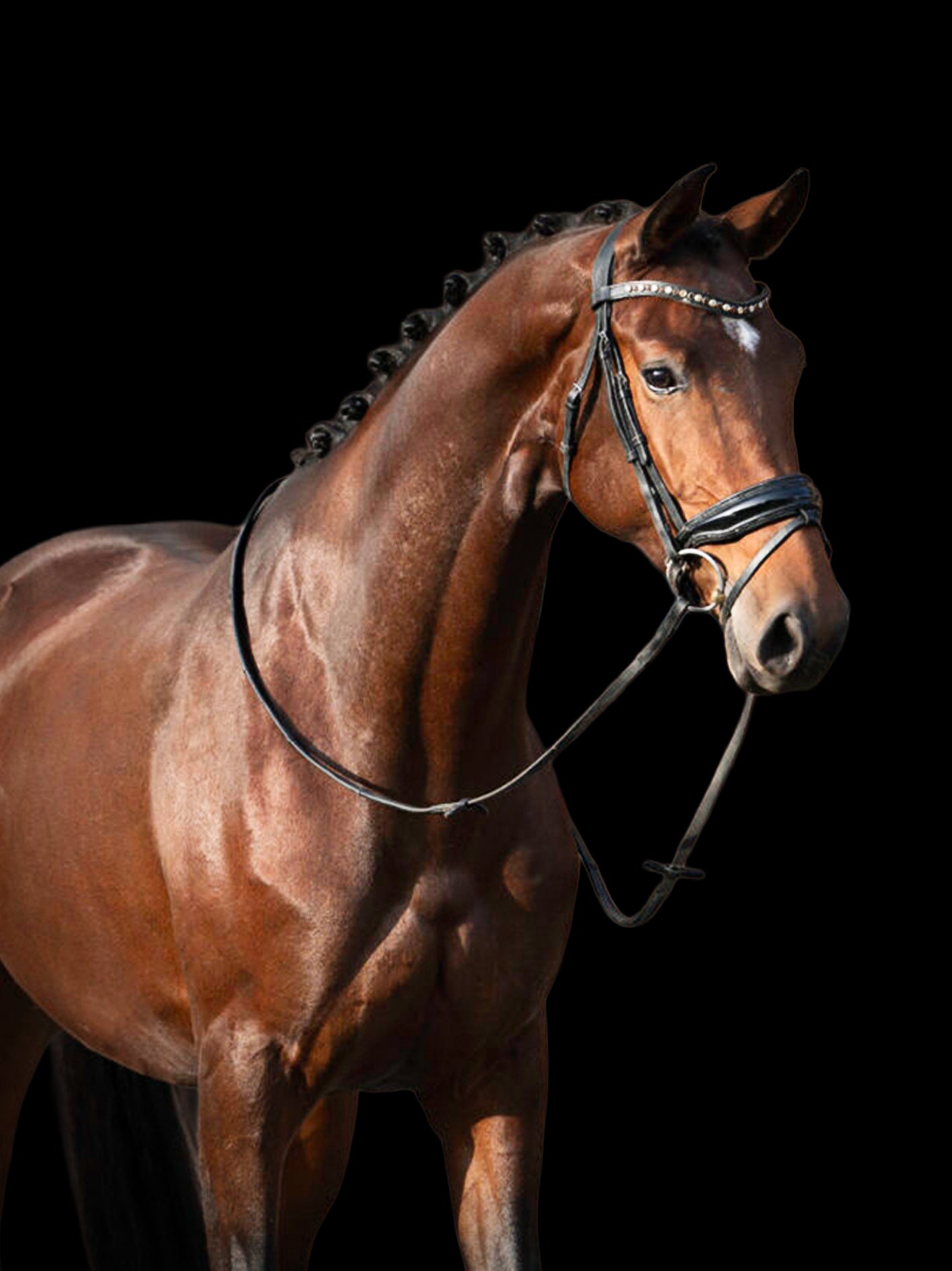 Wonder Woman du jade