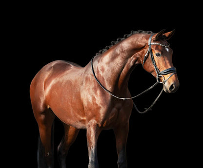 Wonder Woman du jade