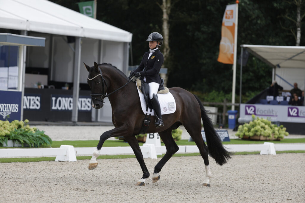 Sacramento vh Bloemenhof, has earned a spot at the World Championships for Young Horses in Ermelo, reflecting his exceptional performance during the selection trials and our team's dedication. We are immensely proud of this well-deserved recognition.